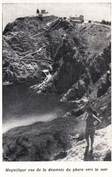 SCAN772