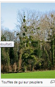 Capture gui-copie-1