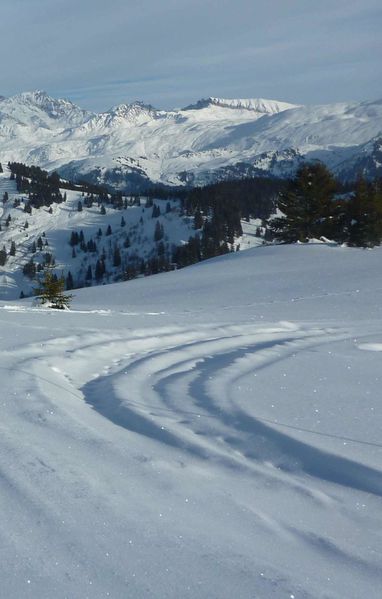 73 95 massif du mont blanc sud