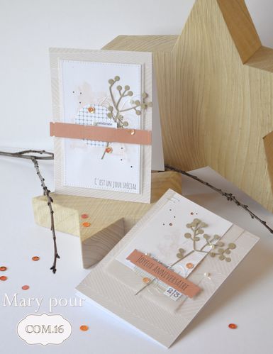 Mary pour COM.16 duo cartes anniversaire 1