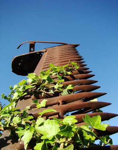 DSC06834