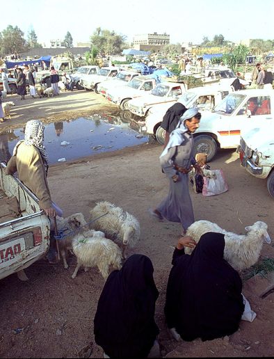 Souk Al Thal 29