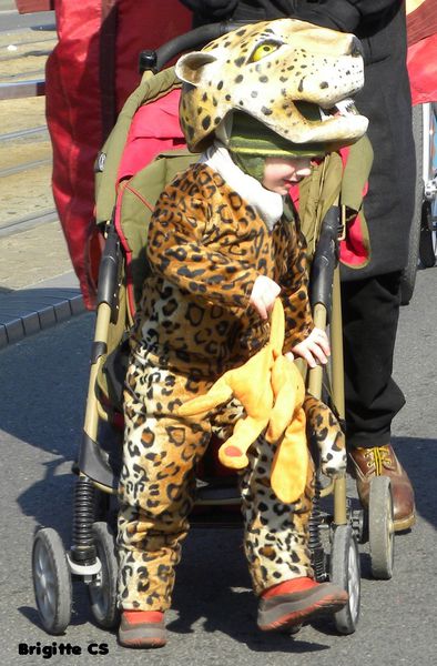 carnaval5