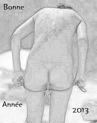 snake2013