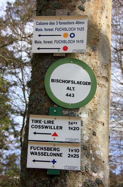 HEIDENSCHLOSS 3488