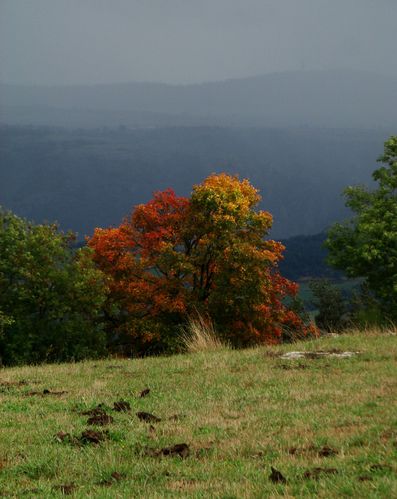DSC02750