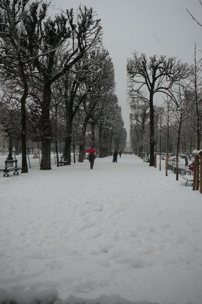 P1080460.JPG