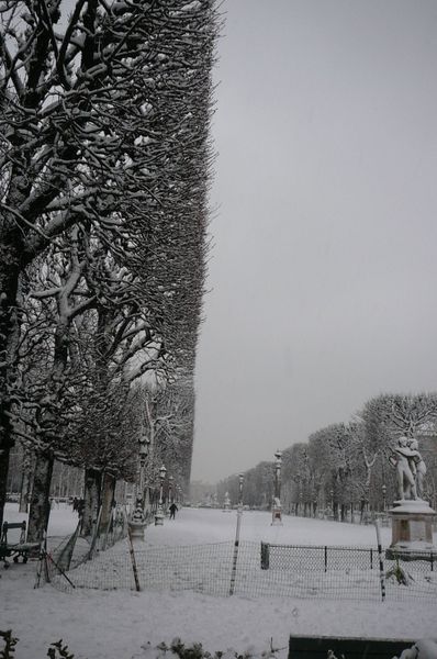 P1080469.JPG