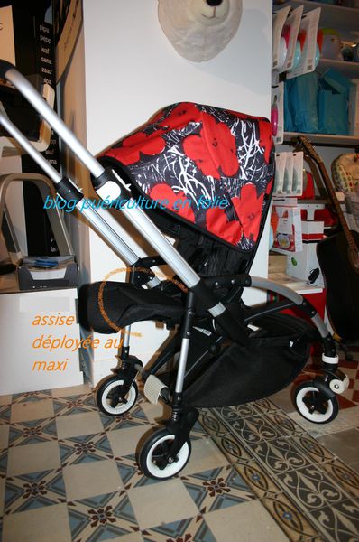 BUGABOO-BEE--ANDY-WARHOL 0190