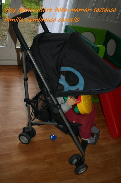 CYBEX-RUBY-WATER-COLOR 0106