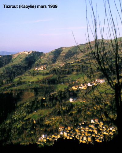 Tazrout3