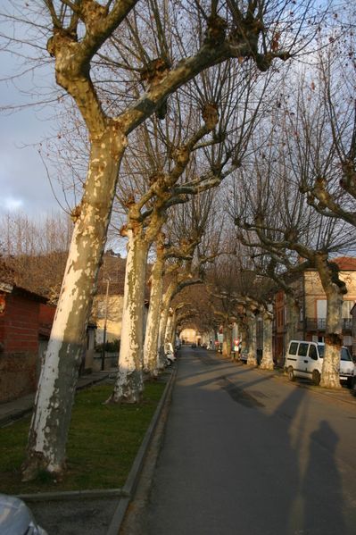 Janvier-2006-018.jpg
