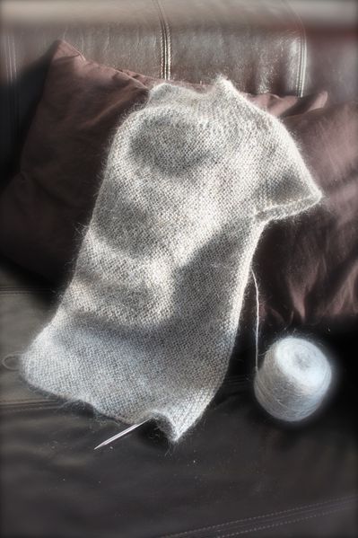 Tricot-1763.JPG