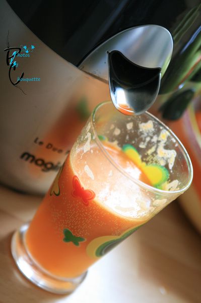 fevrier2011_59-copie.jpg