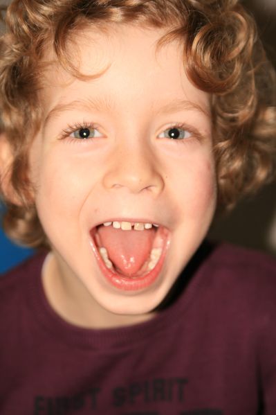 janvier2011_016.JPG