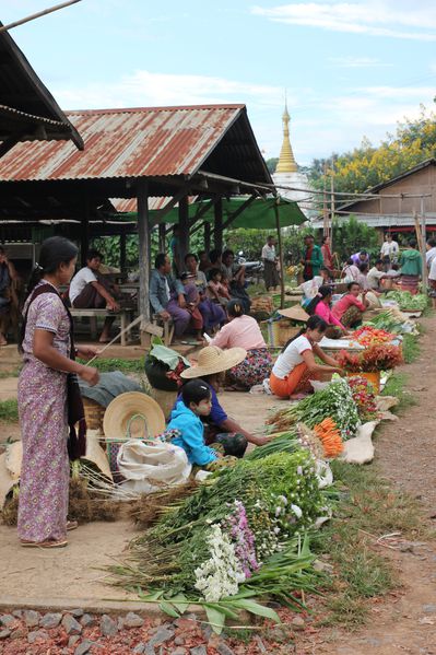 MYANMAR-2014 3139