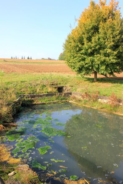 Goeftberg 0467