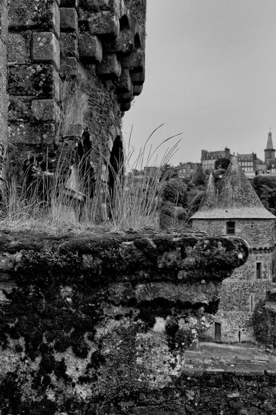Chateau-Fougeres-8.jpg