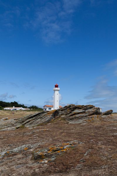 Ile-d-Yeu---La-cote-10.jpg