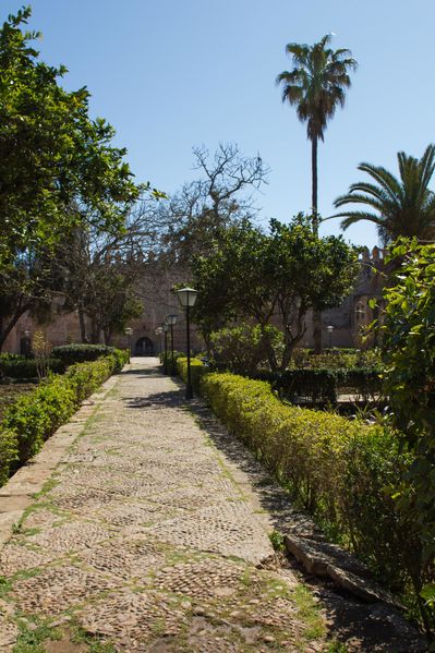 Maroc-2012---Rabat-6.jpg