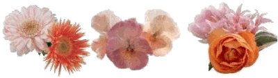 Fleurs-1b.gif