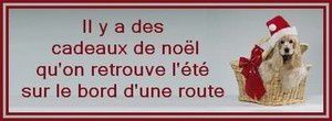 Piece-jointe-Mail-copie-1.jpeg
