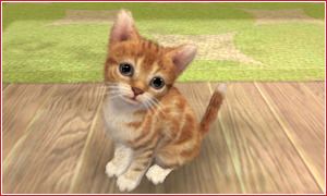 nintendogs-cat.jpg