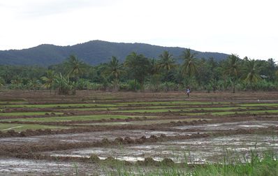 SRI-LANKA-1-043.JPG