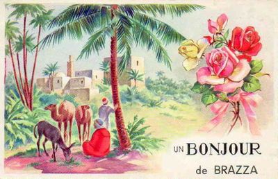 brazza-algerie-carte-1950