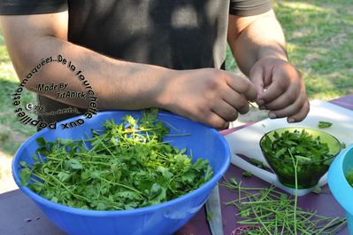Atelier-haricots-au-fenouil-05-logo--jpg