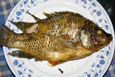 tilapia steamfish thaï 12 10