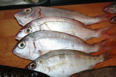 bouillabaisse--12-.JPG