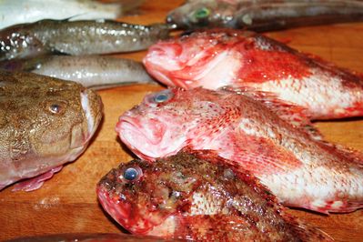 bouillabaisse-chapons.JPG