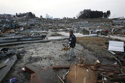 shiba-inu-seisme-tremblement-terre-japon-survivant.jpg