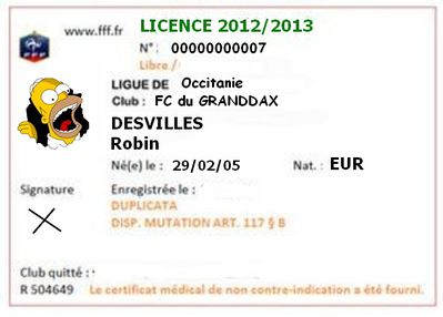 licence-lnim2q_612x459__lo46dr.jpg