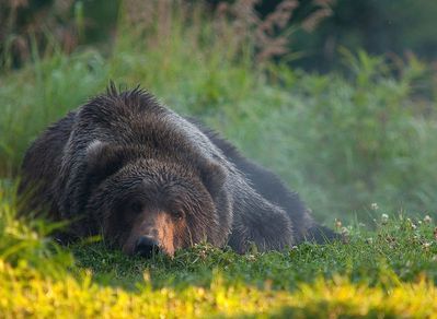 national-geographic-photo-contest-2010-007.jpg