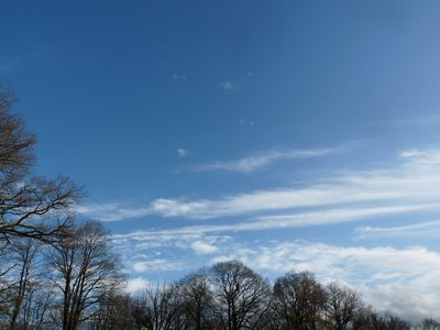 P1010751