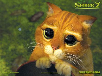 chat-shrek.jpg