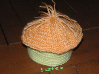 Boite-Cabane-au-crochet.gif