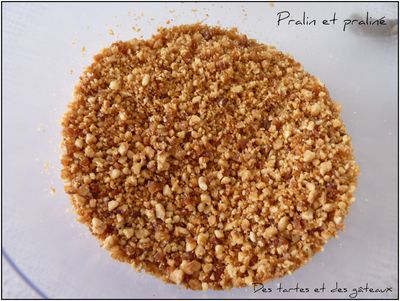 pral 6