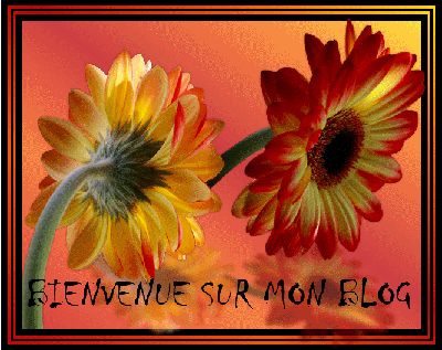 rub-bienvenue-sur-mon-blog-