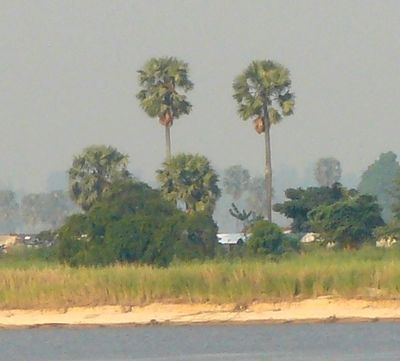 Brazza-beach-pool-malebo