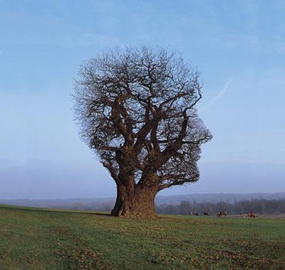 storm-thorgerson-album-cover-art-11