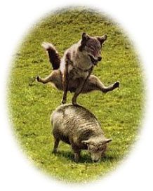 saute-mouton
