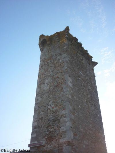 chateau de Saissac 84
