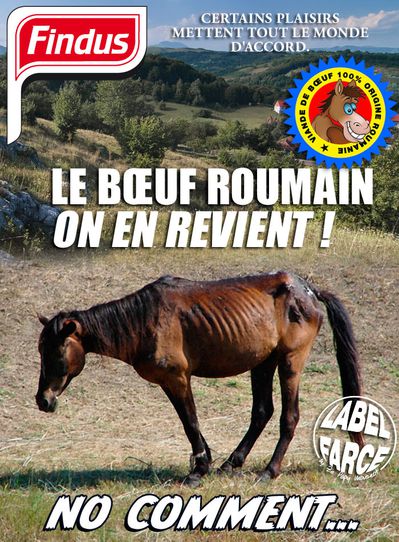 Findus.jpg