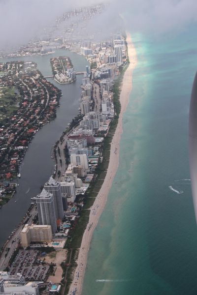 fleurs-floride 2753