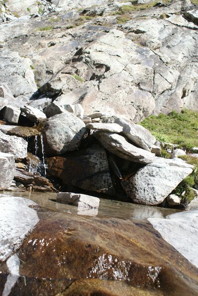 DSC05454
