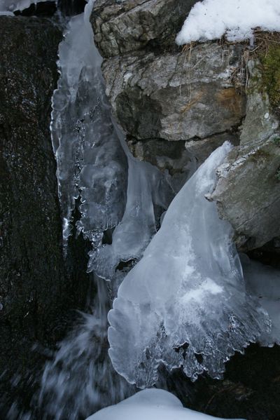 DSC03796.JPG