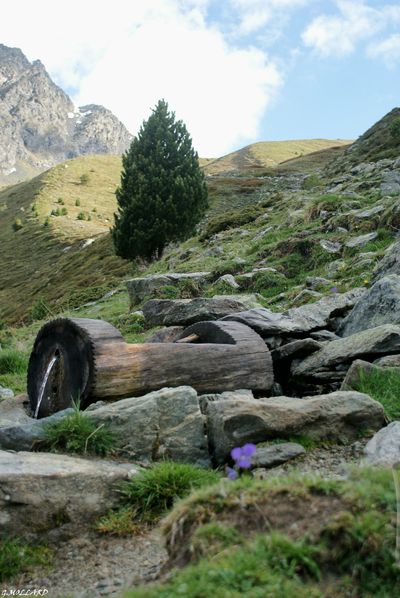 DSC04139-copie-1.JPG